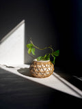 Rattan Vase- Wide